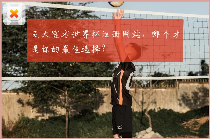 五大官方世界杯注册网站,哪个才是你的最佳选择?