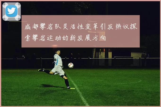 成都攀岩队灵活性变革引发热议探索攀岩运动的新发展方向