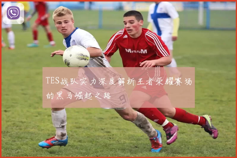 TES战队实力深度解析王者荣耀赛场的黑马崛起之路