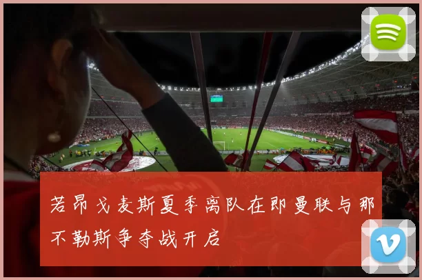 若昂戈麦斯夏季离队在即曼联与那不勒斯争夺战开启