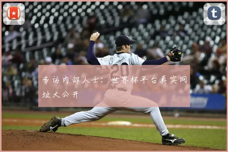 专访内部人士：世界杯平台真实网址大公开