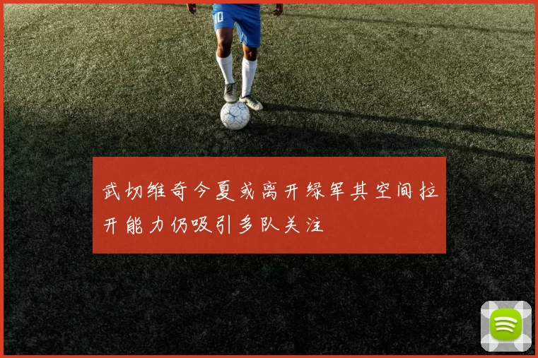 武切维奇今夏或离开绿军其空间拉开能力仍吸引多队关注
