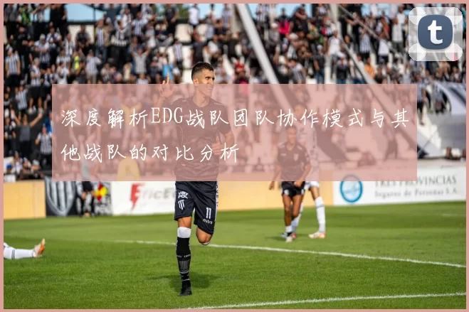 深度解析EDG战队团队协作模式与其他战队的对比分析