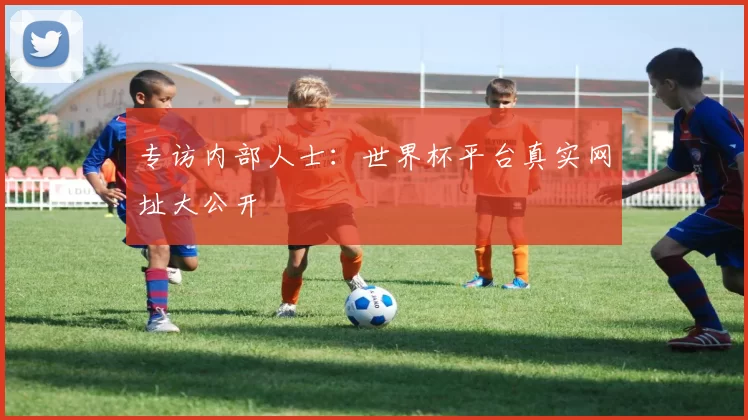 专访内部人士：世界杯平台真实网址大公开