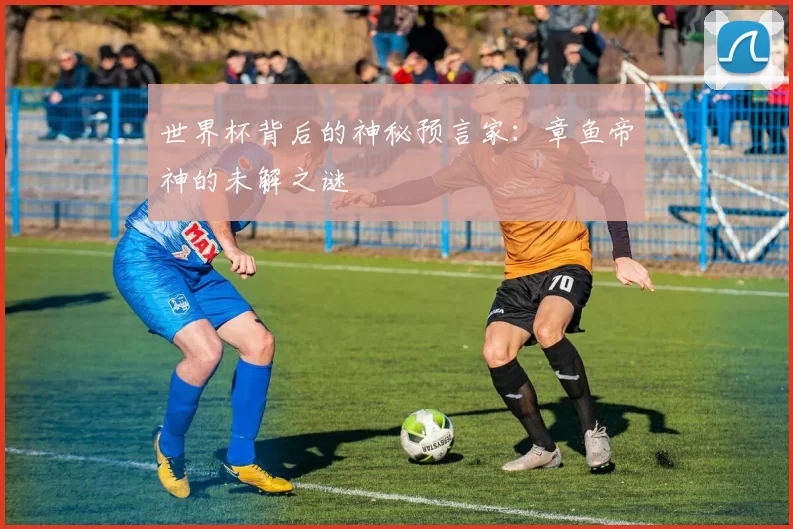 世界杯背后的神秘预言家：章鱼帝神的未解之谜