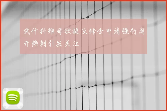 武什科维奇欲提交转会申请强行离开热刺引发关注
