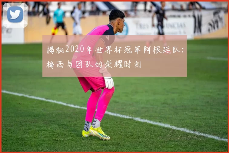 揭秘2020年世界杯冠军阿根廷队:梅西与团队的荣耀时刻