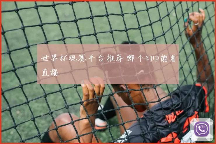 世界杯观赛平台推荐 哪个app能看直播