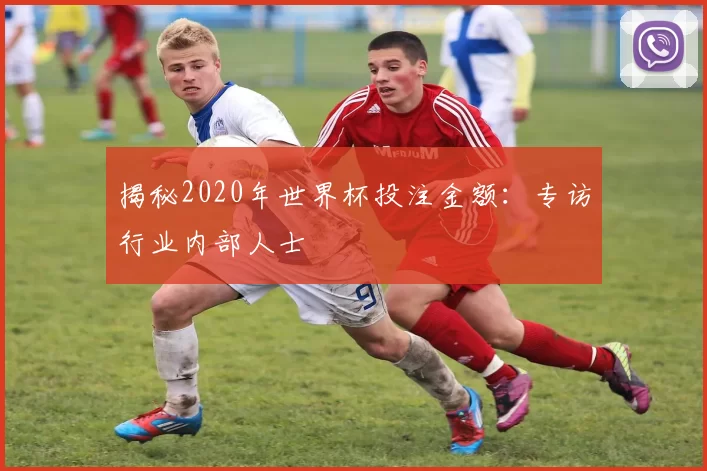 揭秘2020年世界杯投注金额:专访行业内部人士