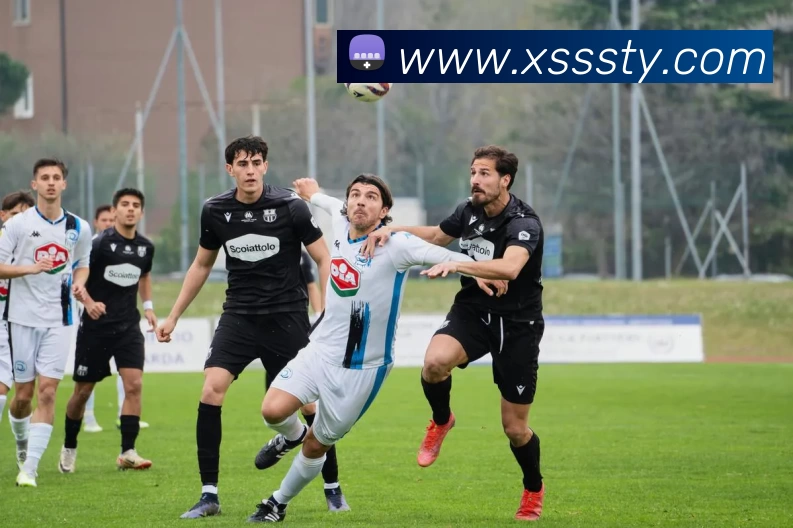 爱游戏APP 封面图